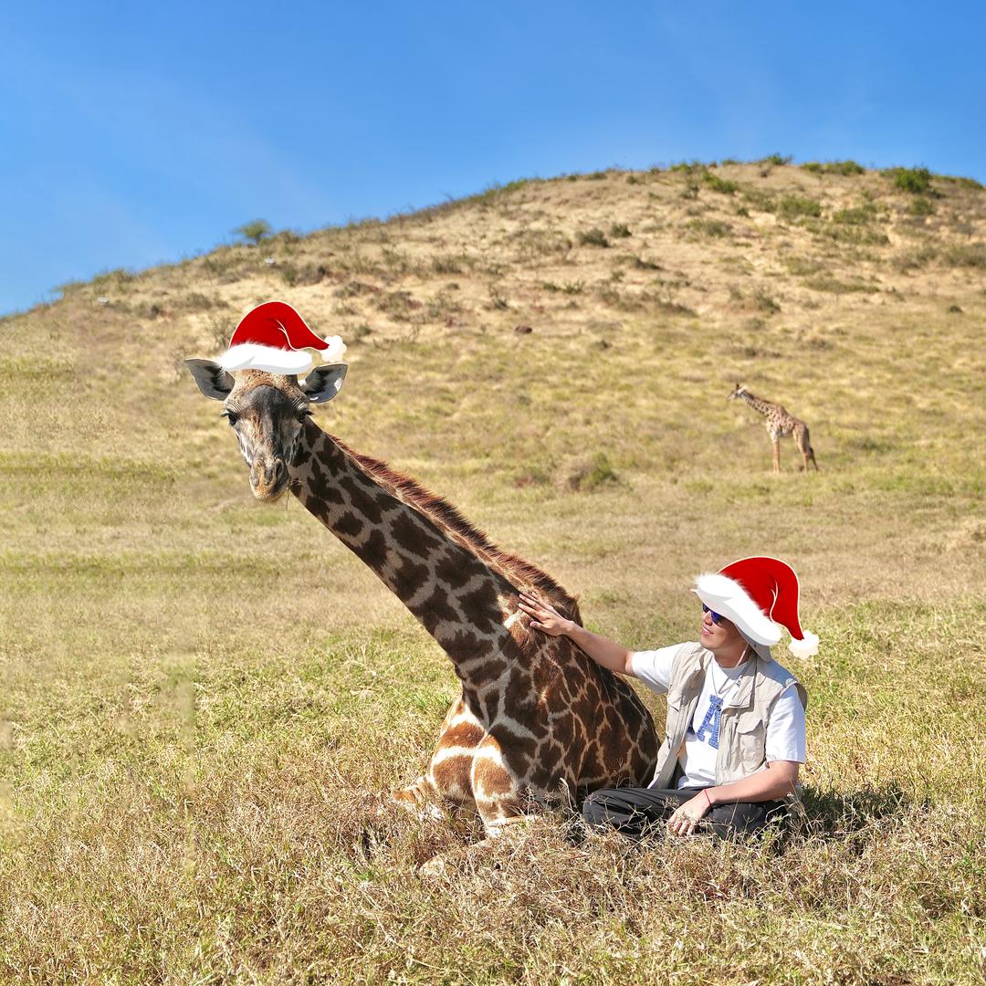 兔兔那么可爱为什么要吃兔兔