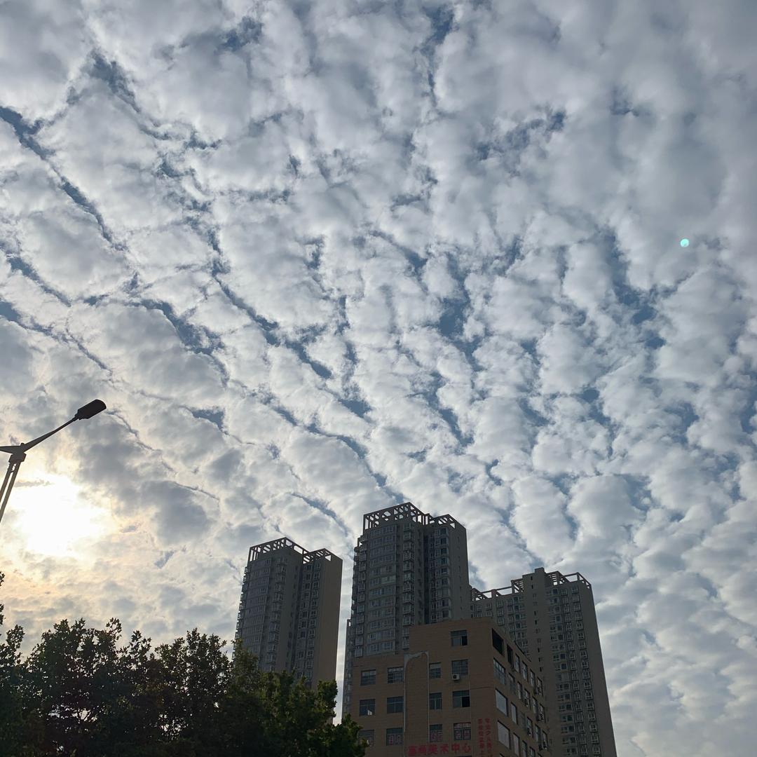 随遇而安_