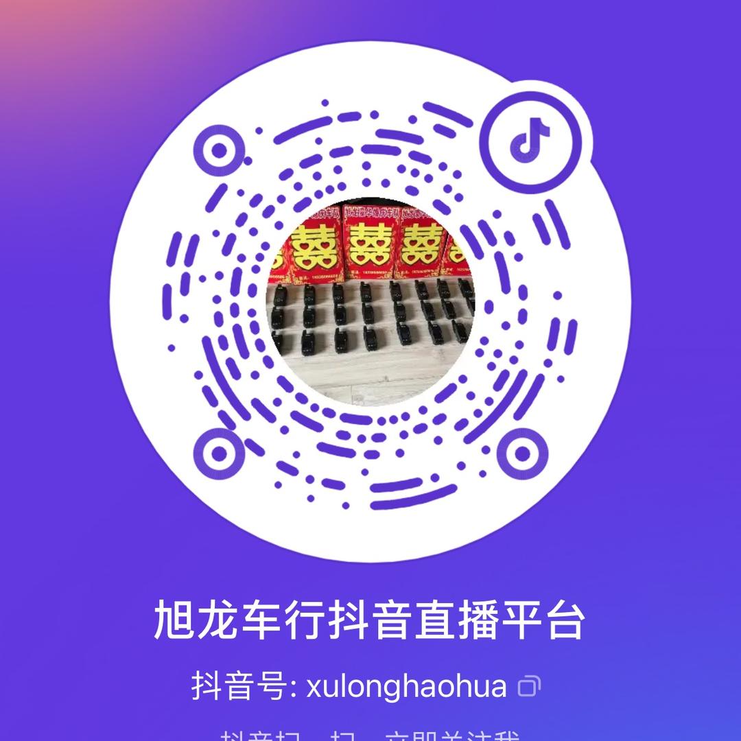 濮阳市婚庆车队旭龙婚车