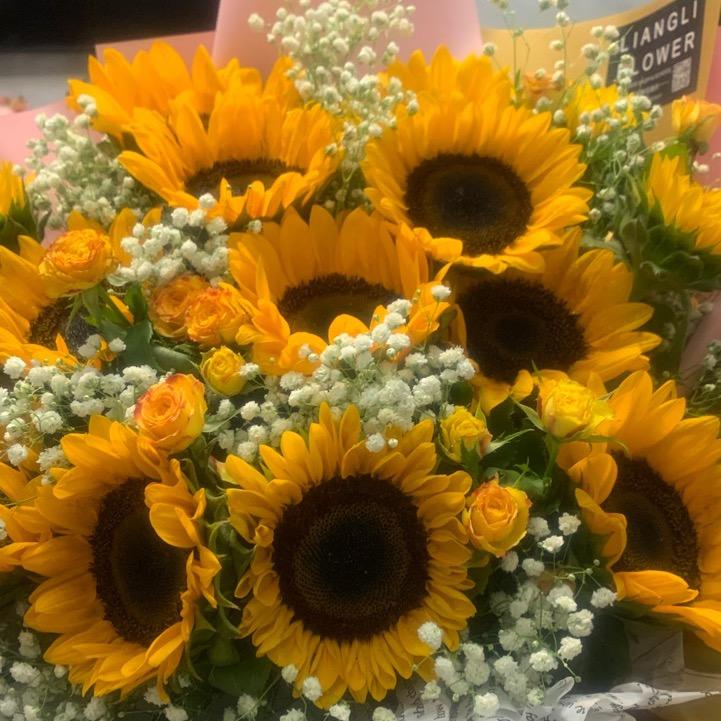 🌻 向日葵🌻