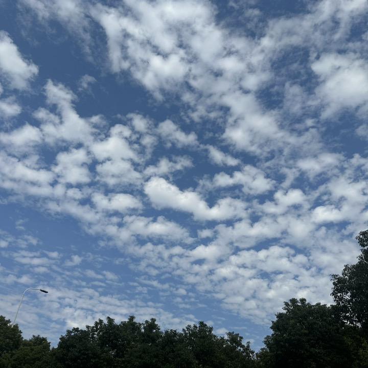 🍀理想 ~ 李不白