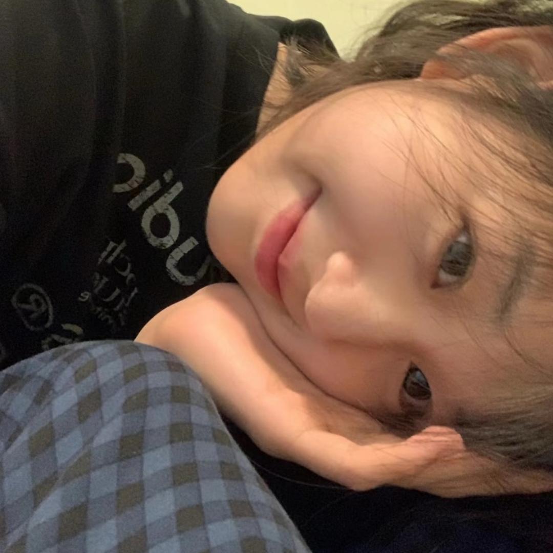 二蛋💤