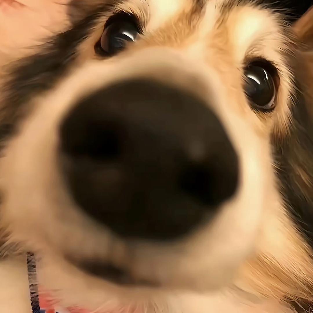 奥特mua Ⱄⱄ