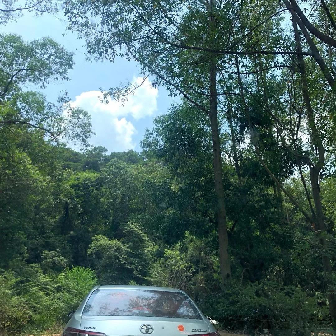 可乐