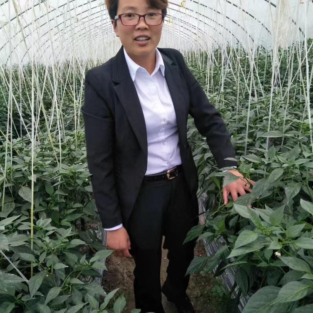 杜长燕☀️ ⁷²⁹