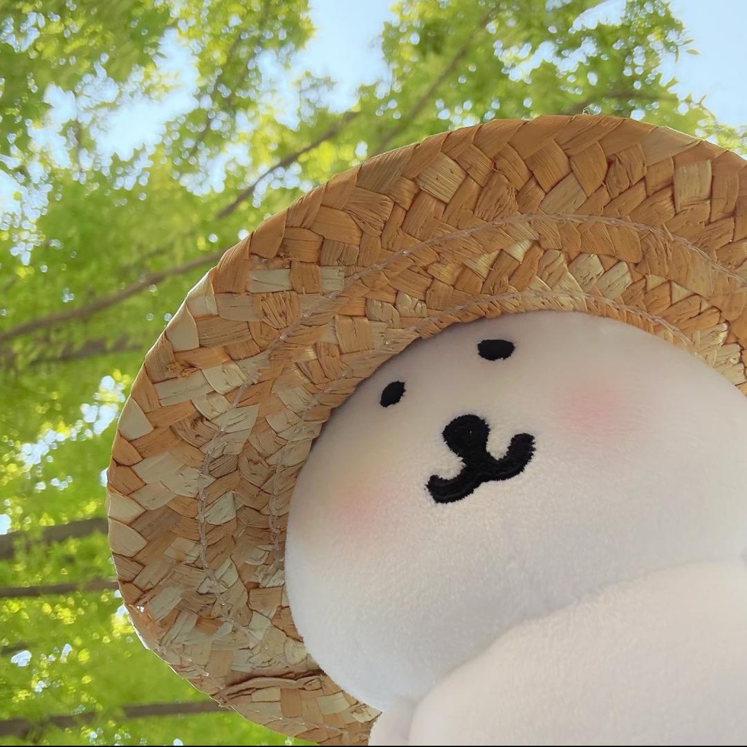 夹薪小饼干🍪