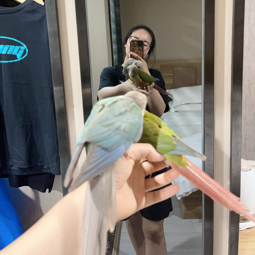我是锅锅姨呀~
