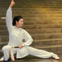 太极拳李松青