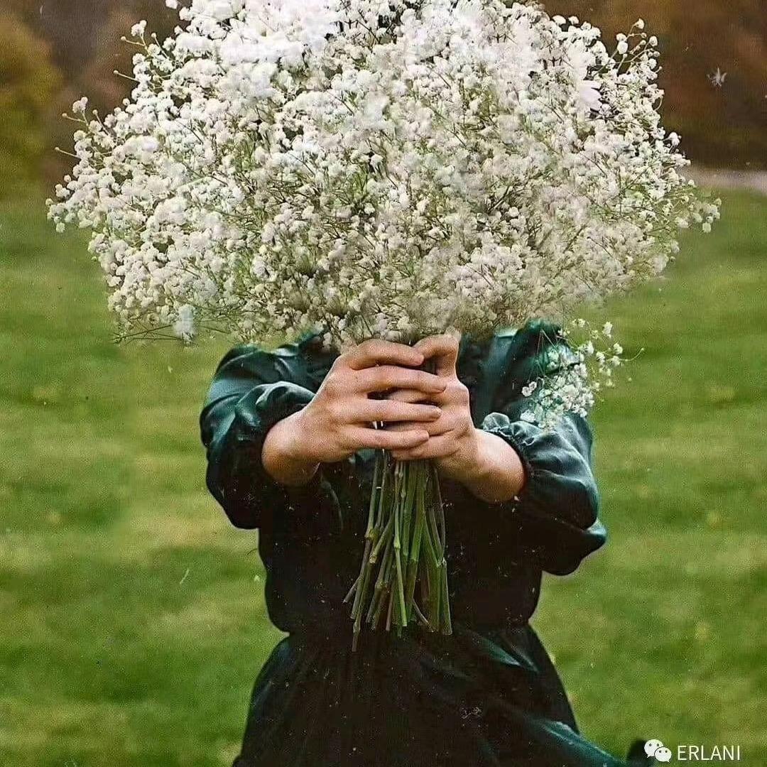 景洪景韵商贸行小号