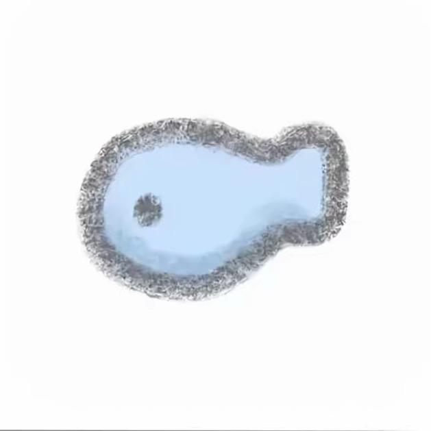 鱼饼饼🐟💤