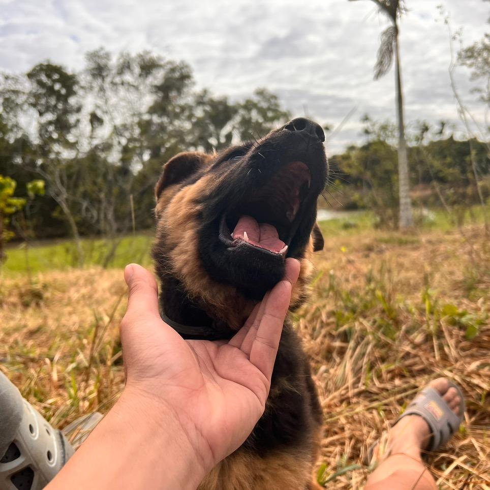 快乐的岛农☺️