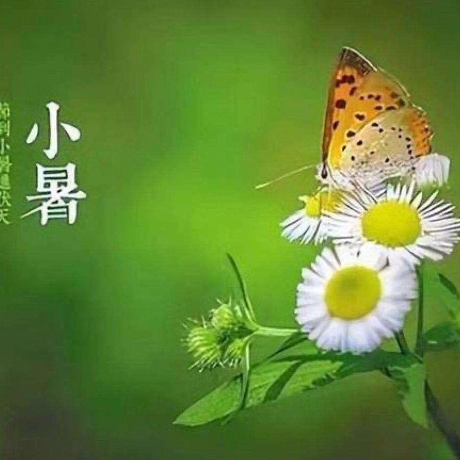 彤言文语