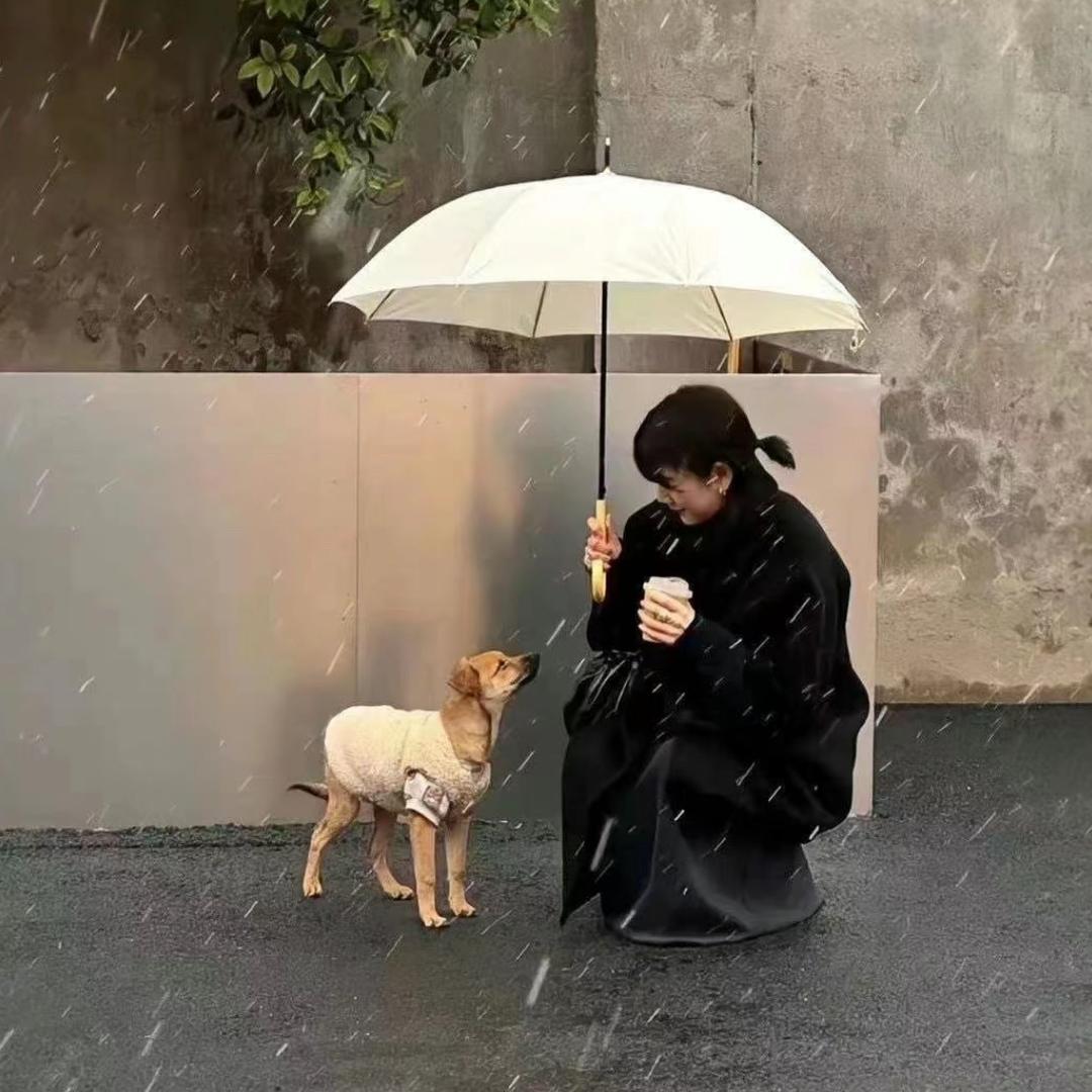 好运要降林女士