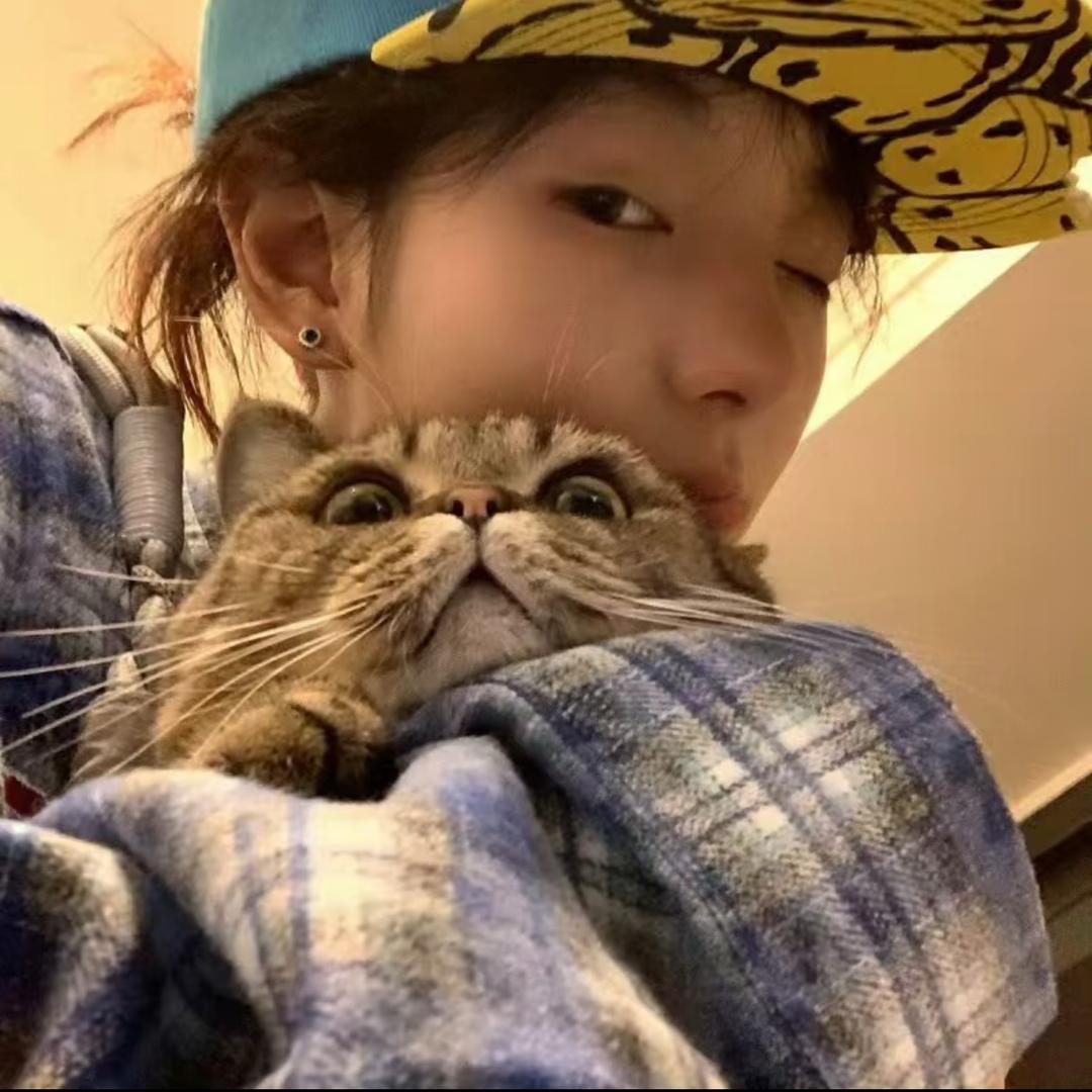 真开心