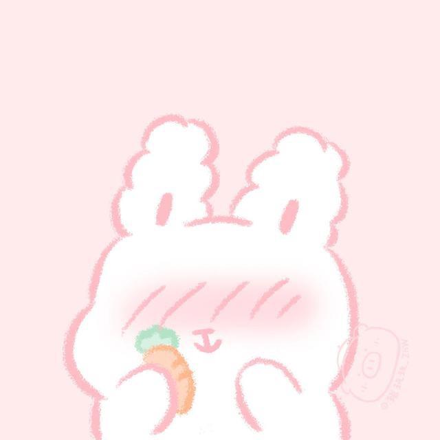 🐻🐻🐻