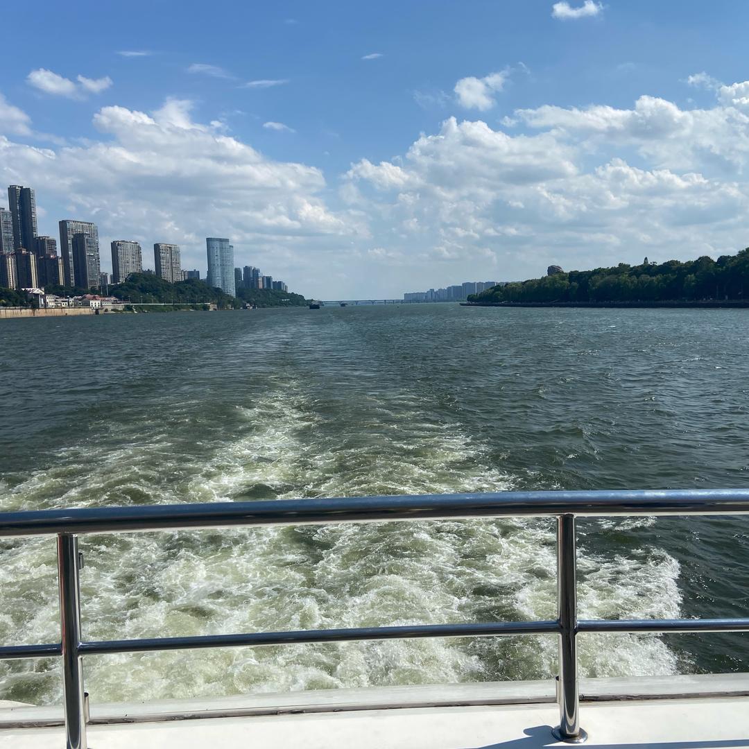 樱花🌸雨落（橱窗里有好物分享）