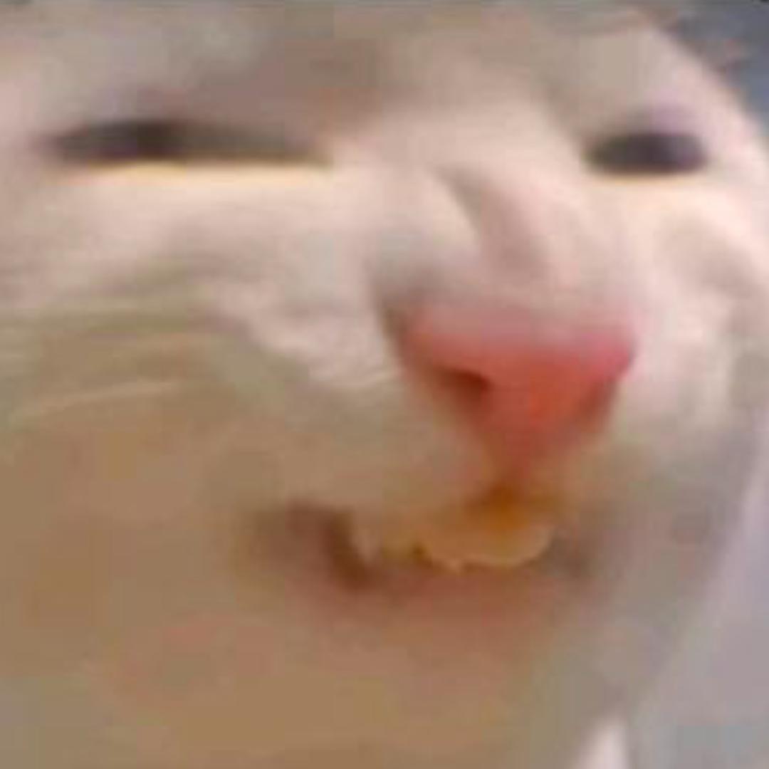 哇哈哈👾