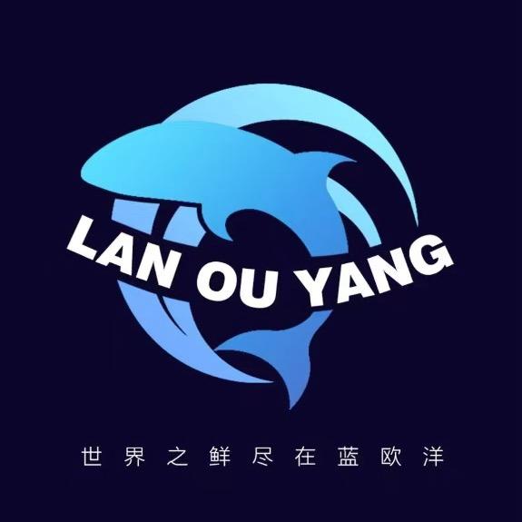 军哥|达州蓝欧洋三文鱼