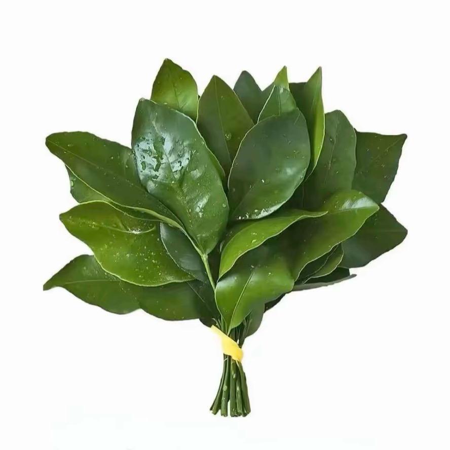 十五天