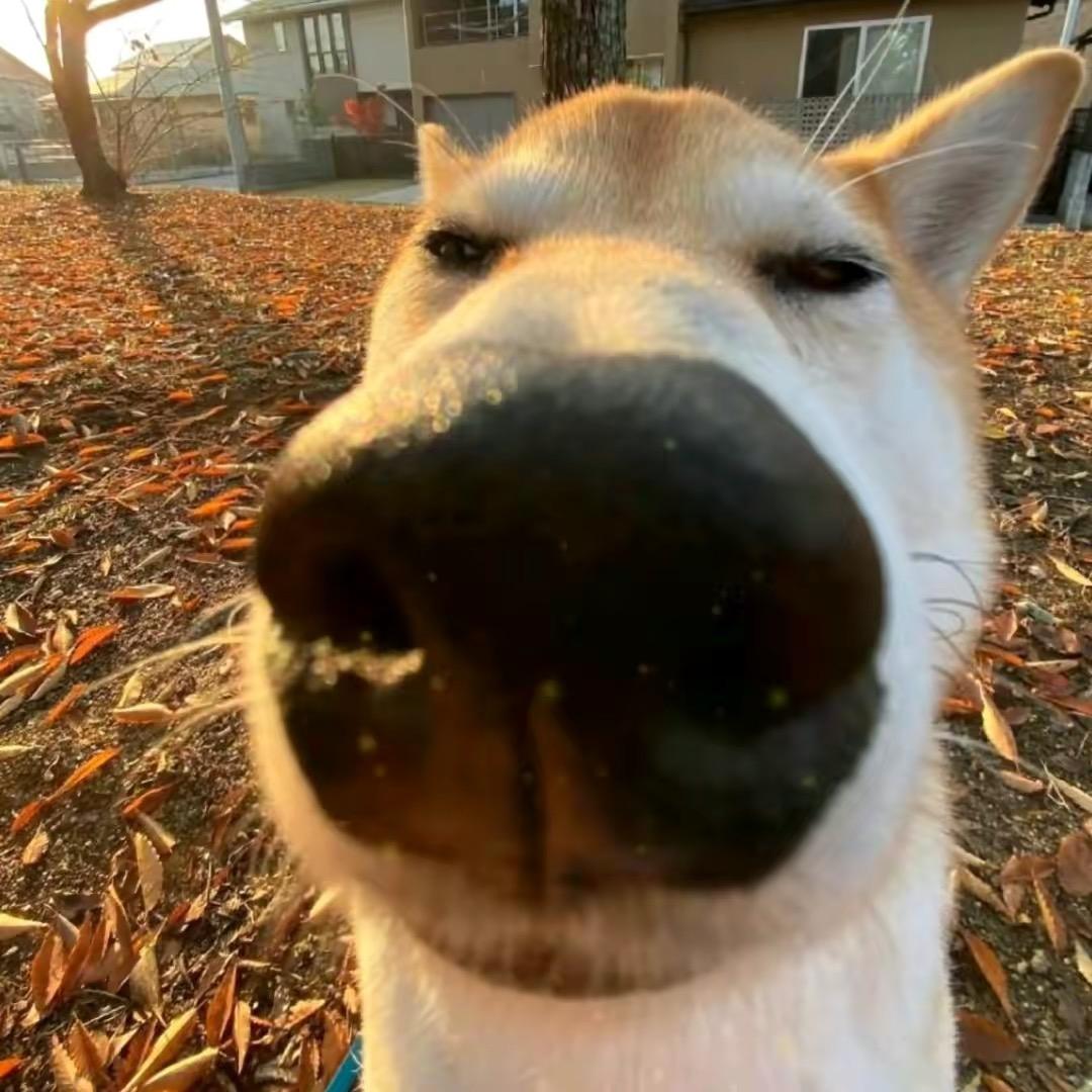 禾禾禾^o^