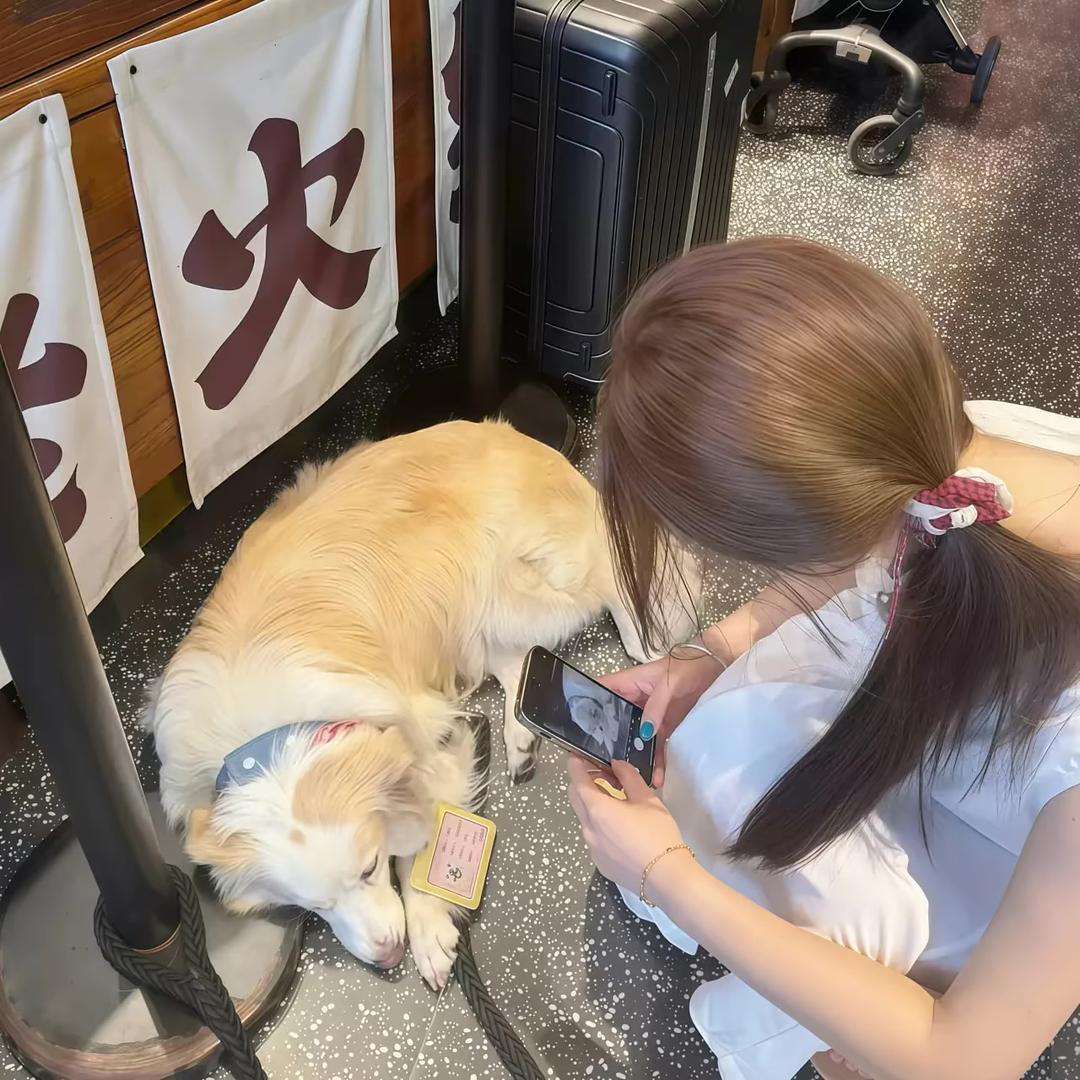 不吃香菜🫧