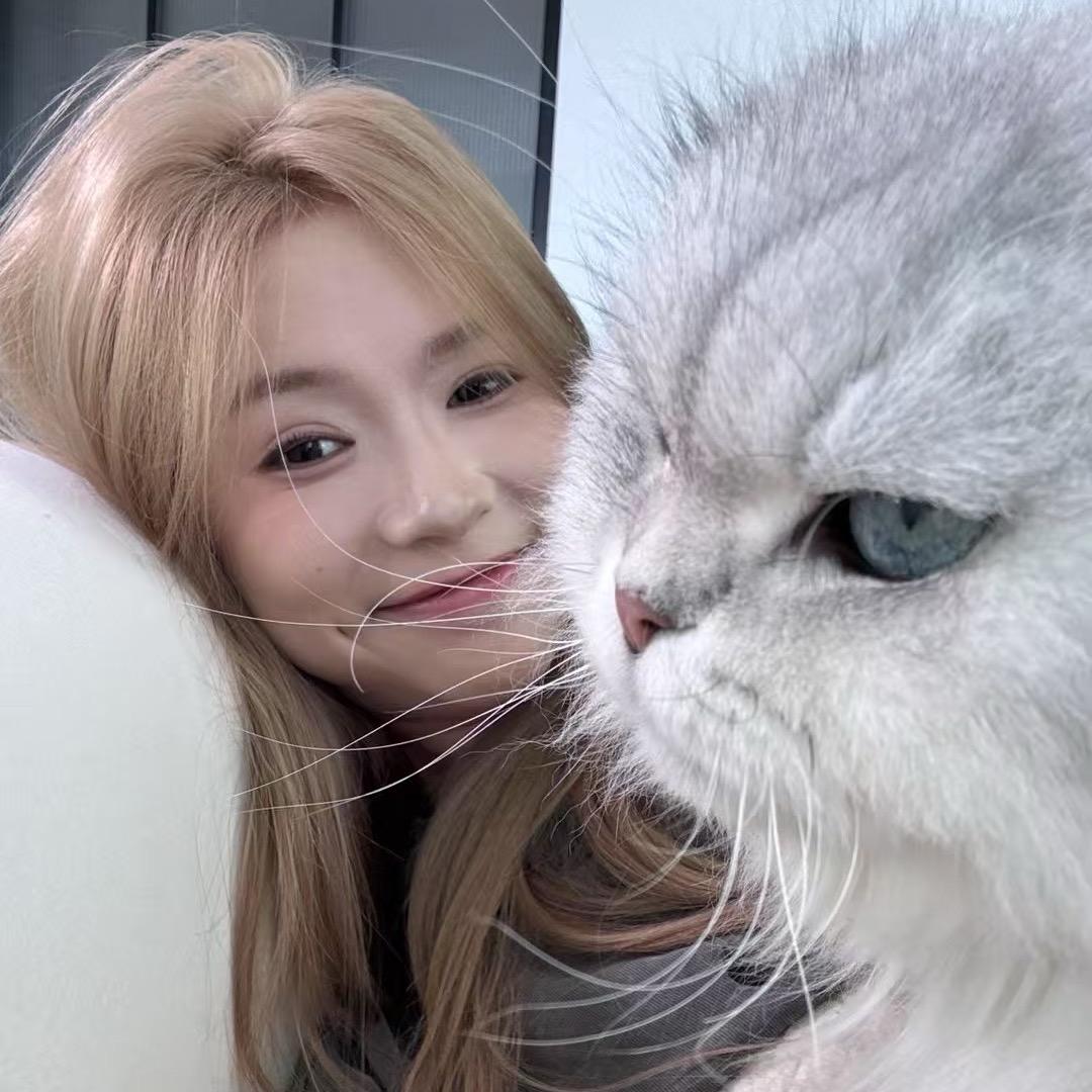 橘子味的熊ᙆʰʰ