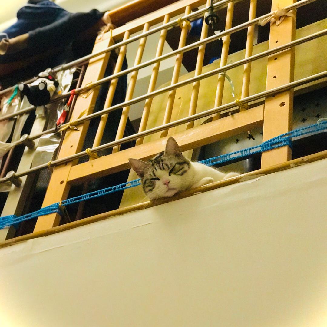 笑恨天
