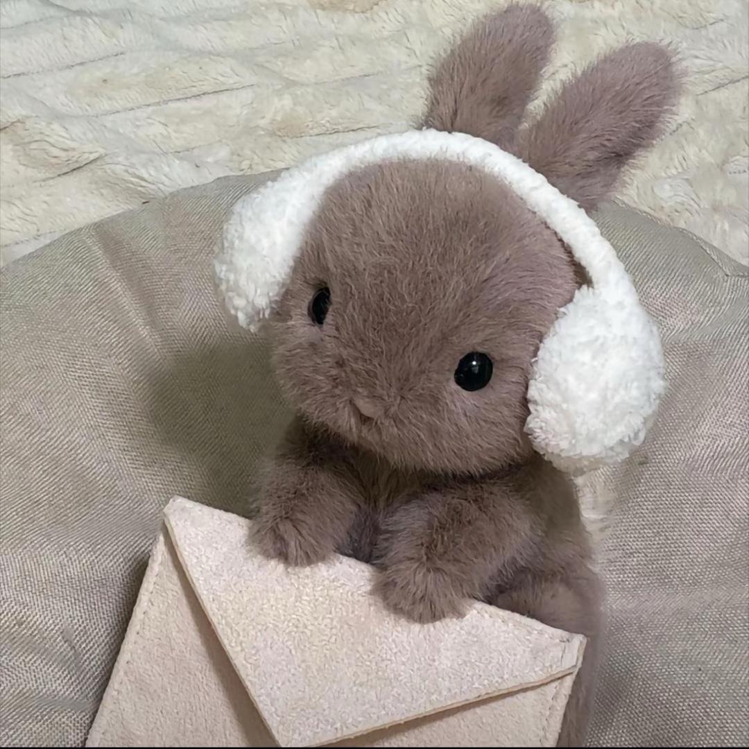 CLRoo