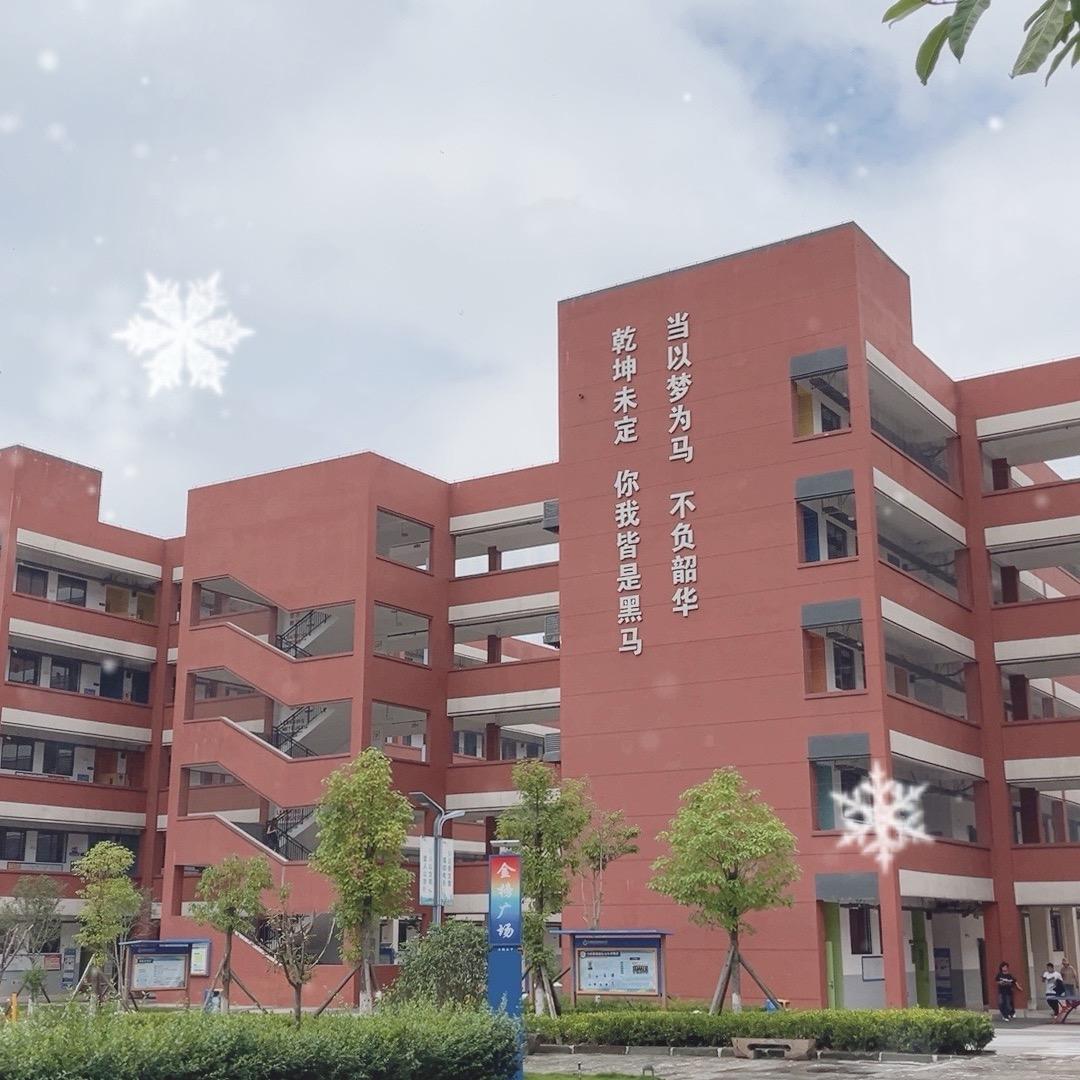 资阳鸿鹄高中静静老师