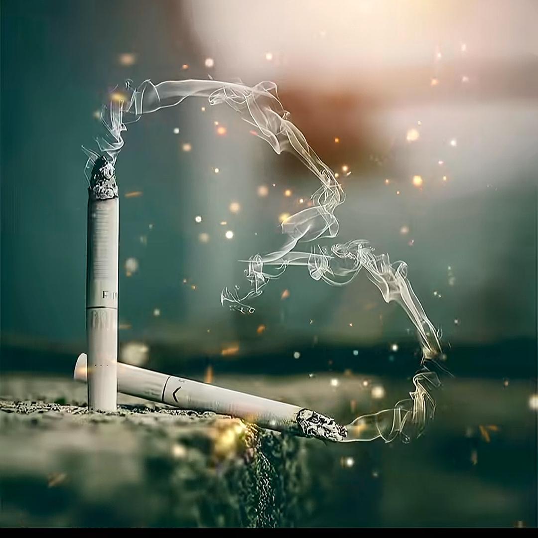 ནོ¹ᵌ¹⁴ 愛芥末এ᭄࿐