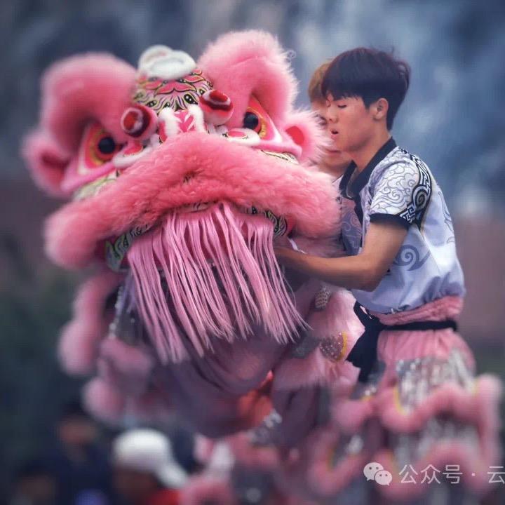 狮人乐部🦁