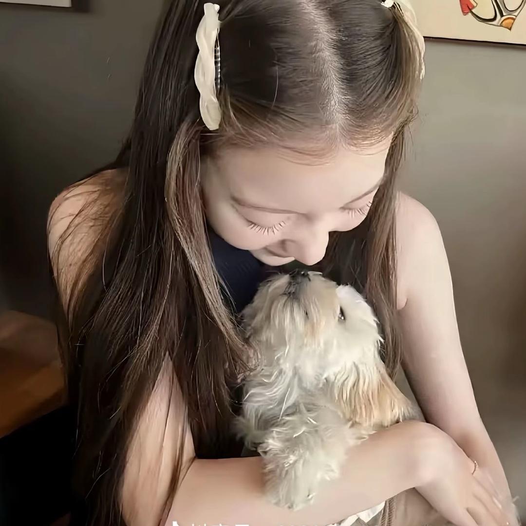 我又咋了