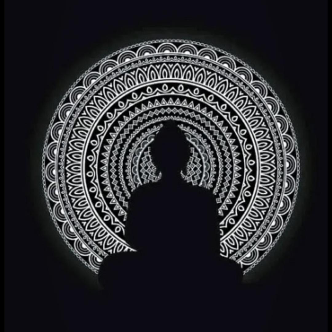 今天晚上看书