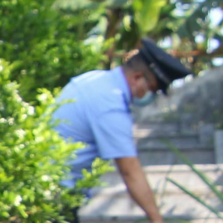 風安輕    　　　╲