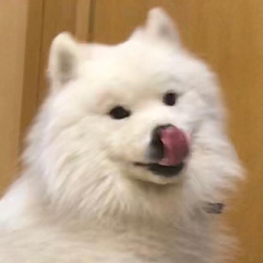 栗崽崽1012