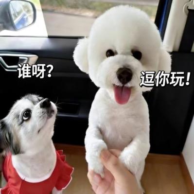 逗你玩🤪