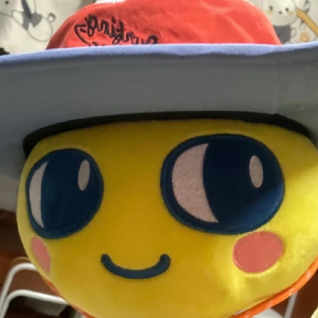 呼噜小咩🧀