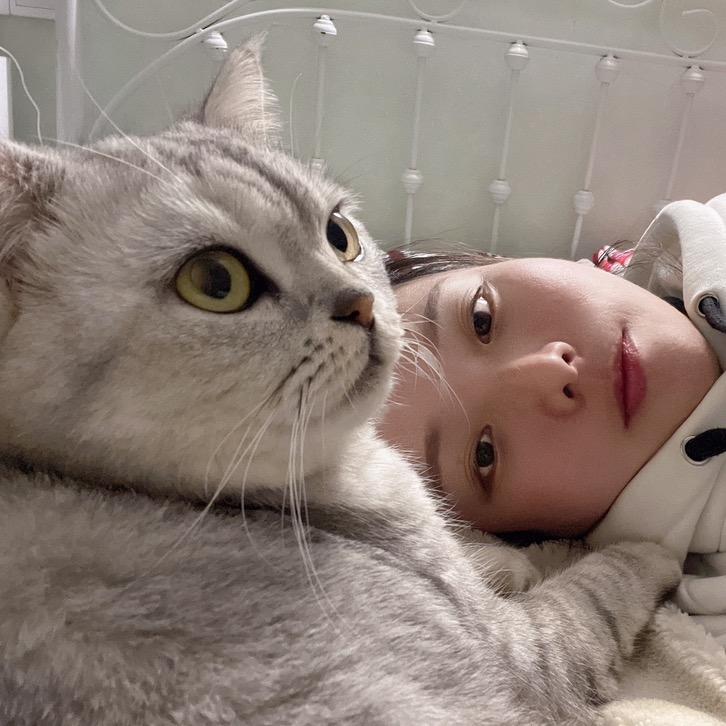 奈斯麻麻（接上门喂猫）