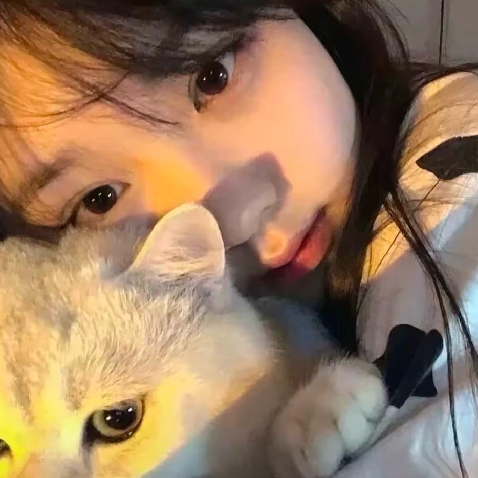 椰椰