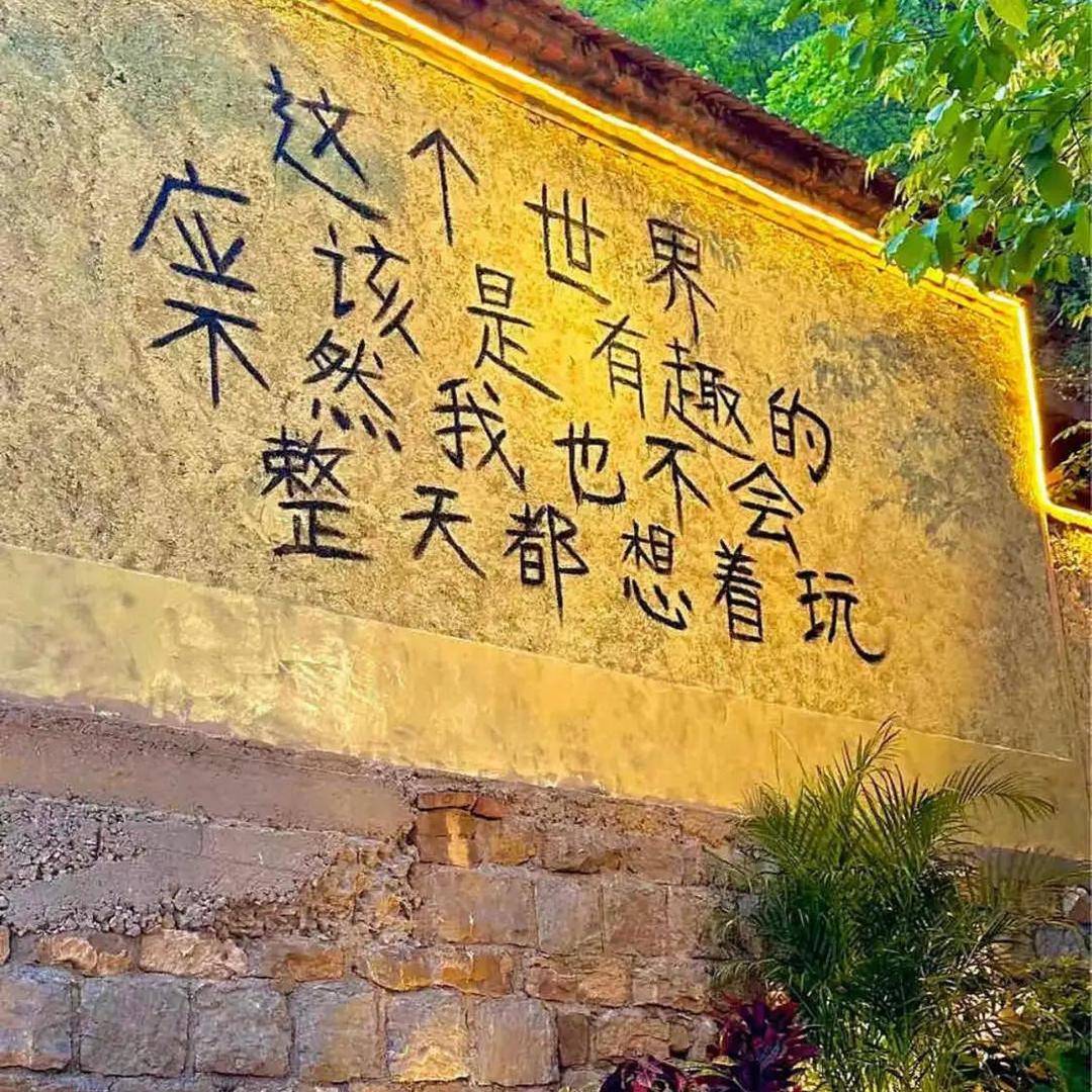 凌晨了还不睡