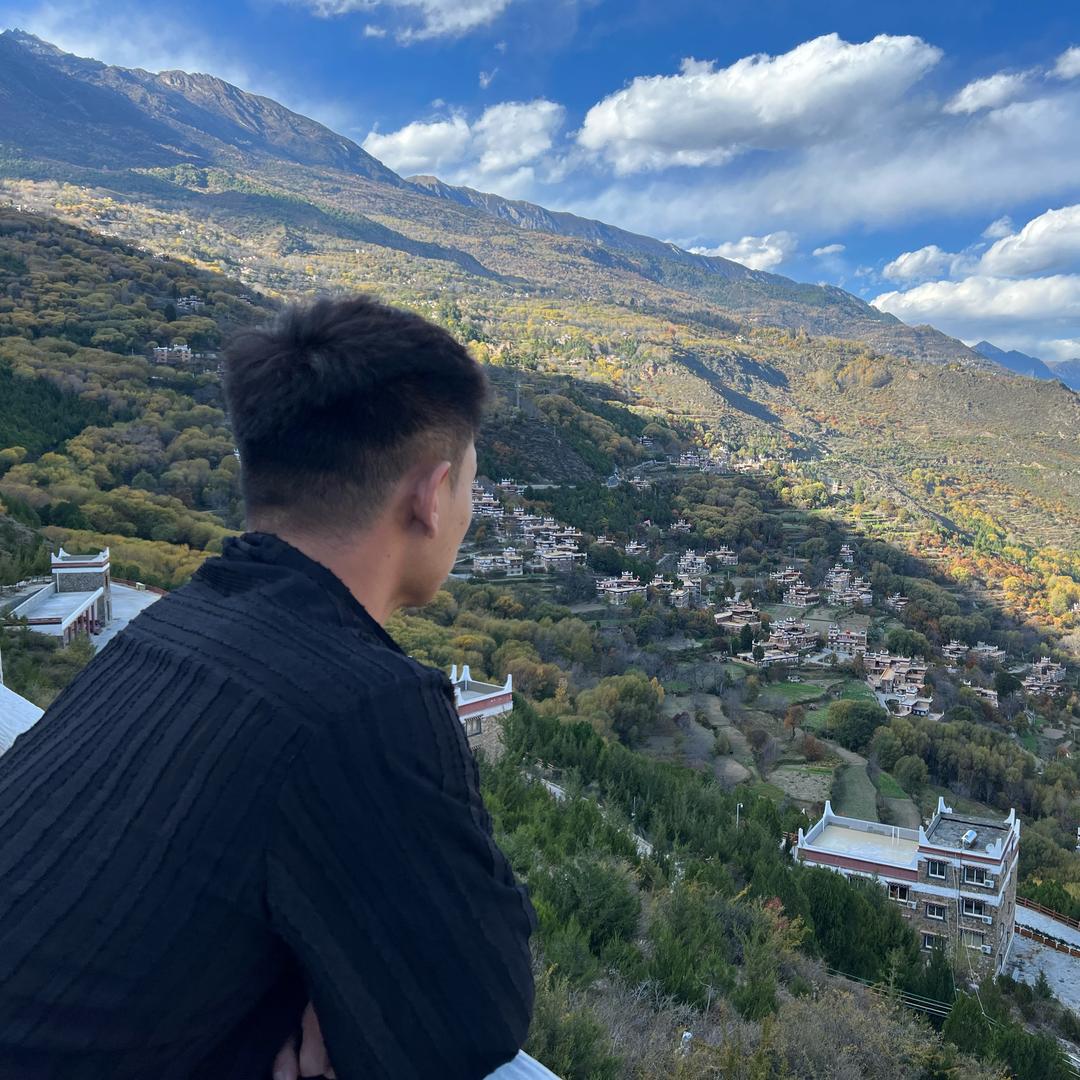 董仕🌲