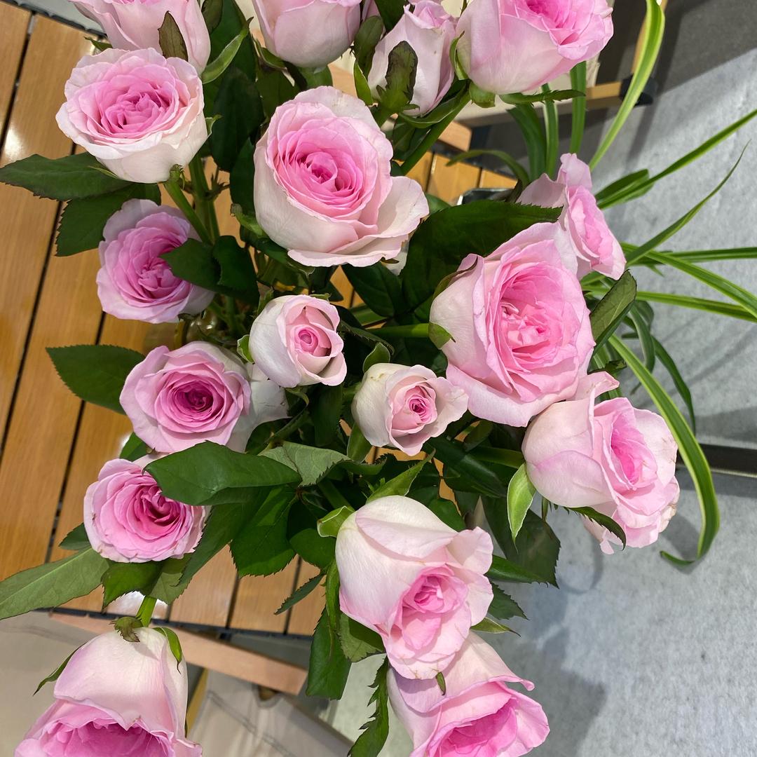 🍒🌺亿訫向钱࿐ᩚ🍒🌺