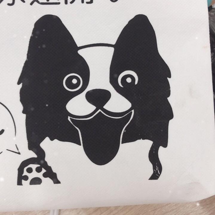 小猫咪🐱