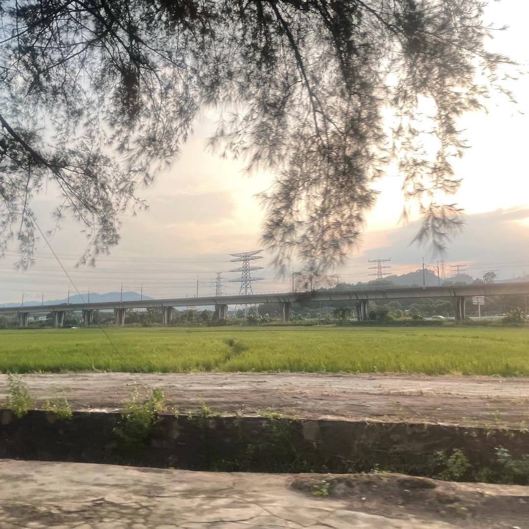 十三行唐唐牛仔的头像