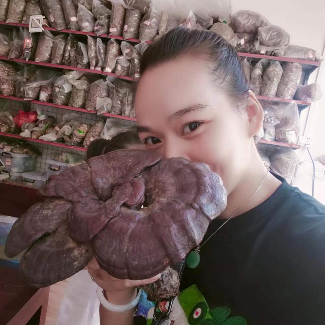 🌿🌿百草精灵🌿🌿
