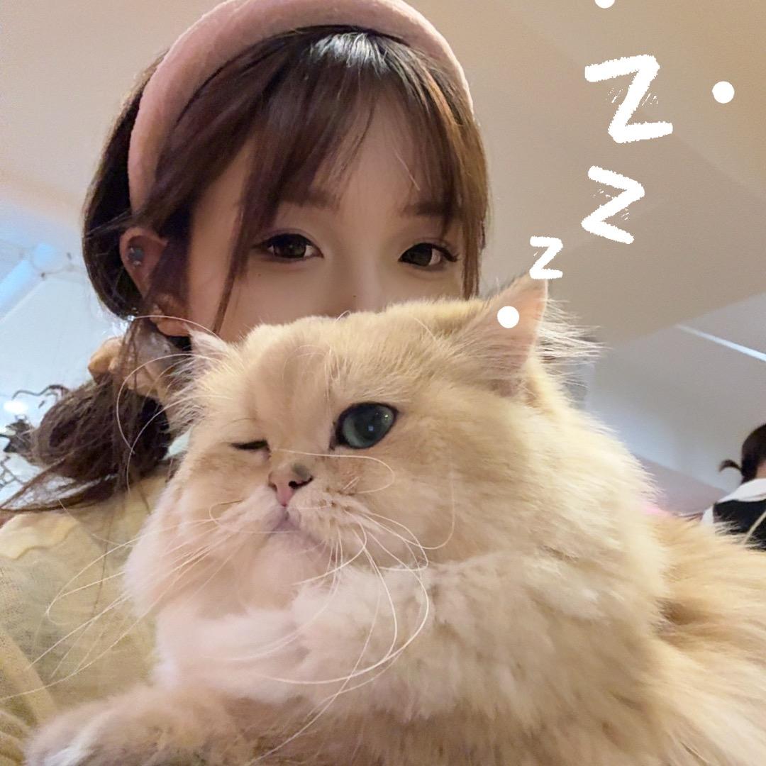 能和你结婚吗