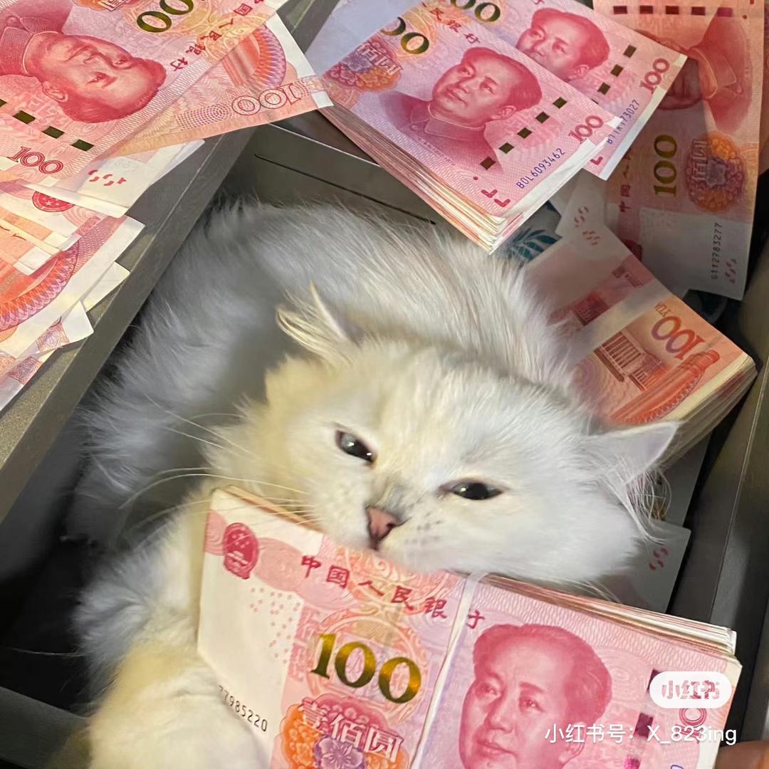 招财小七