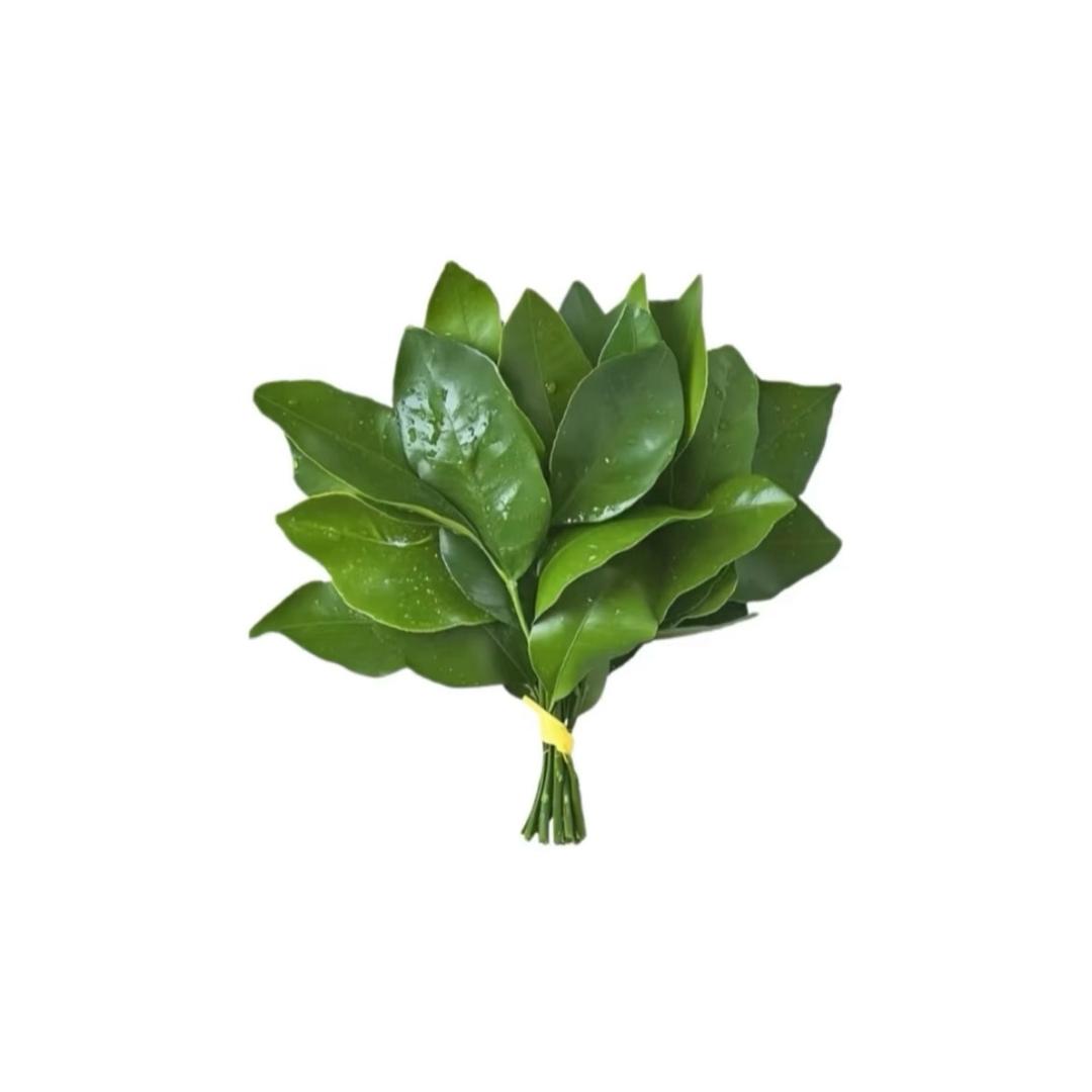 璐璐璐