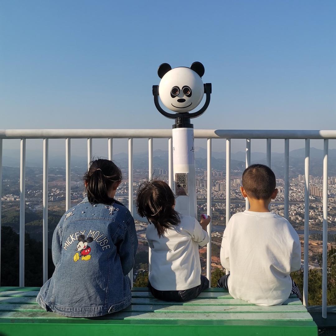 猪小戒