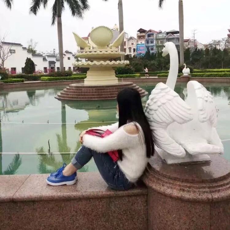 媛来是圆圆